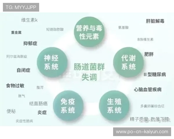 为什么生酮饮食在 2026 年的职业球员营养菜单中彻底消失了？解析肠道菌群真相